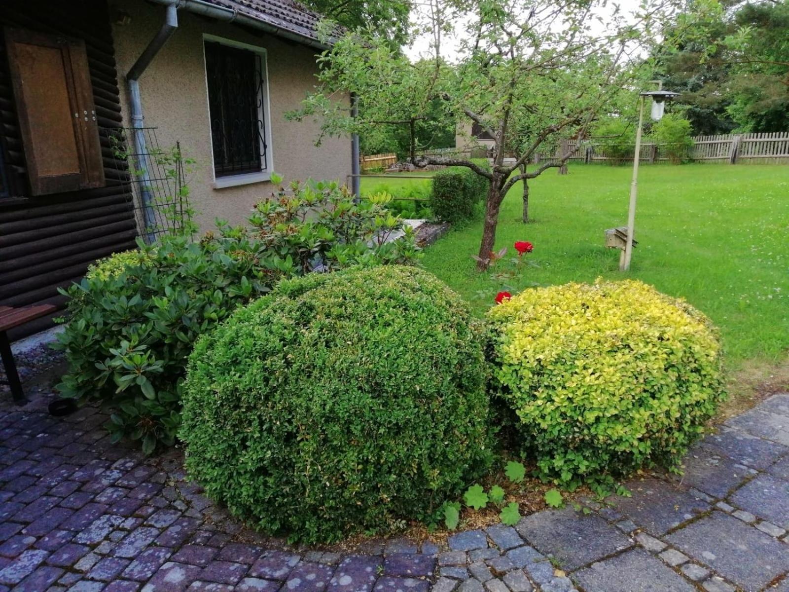 Hasenecke Villa Bad Salzungen Buitenkant foto